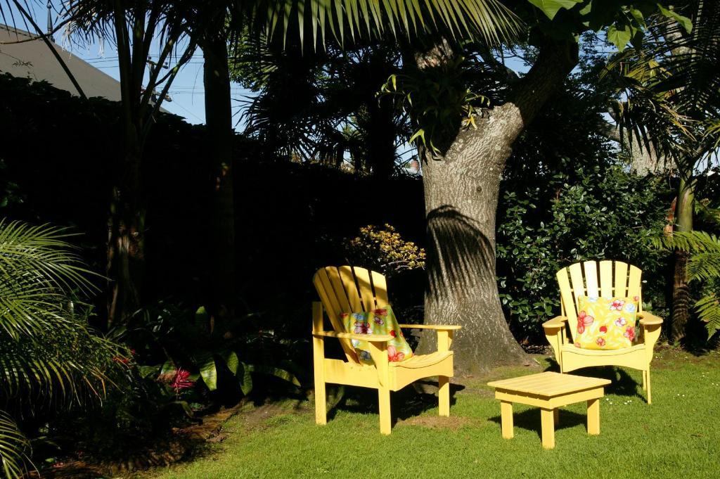 Eden Park Bed And Breakfast Inn Auckland Exterior foto